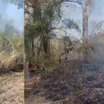 incêndio lalima