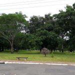 bosque da paz