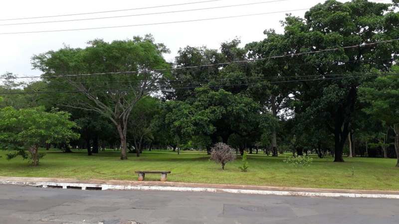 bosque da paz