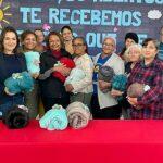 cobertores