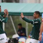 palmeiras
