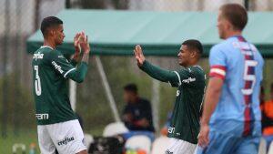 palmeiras