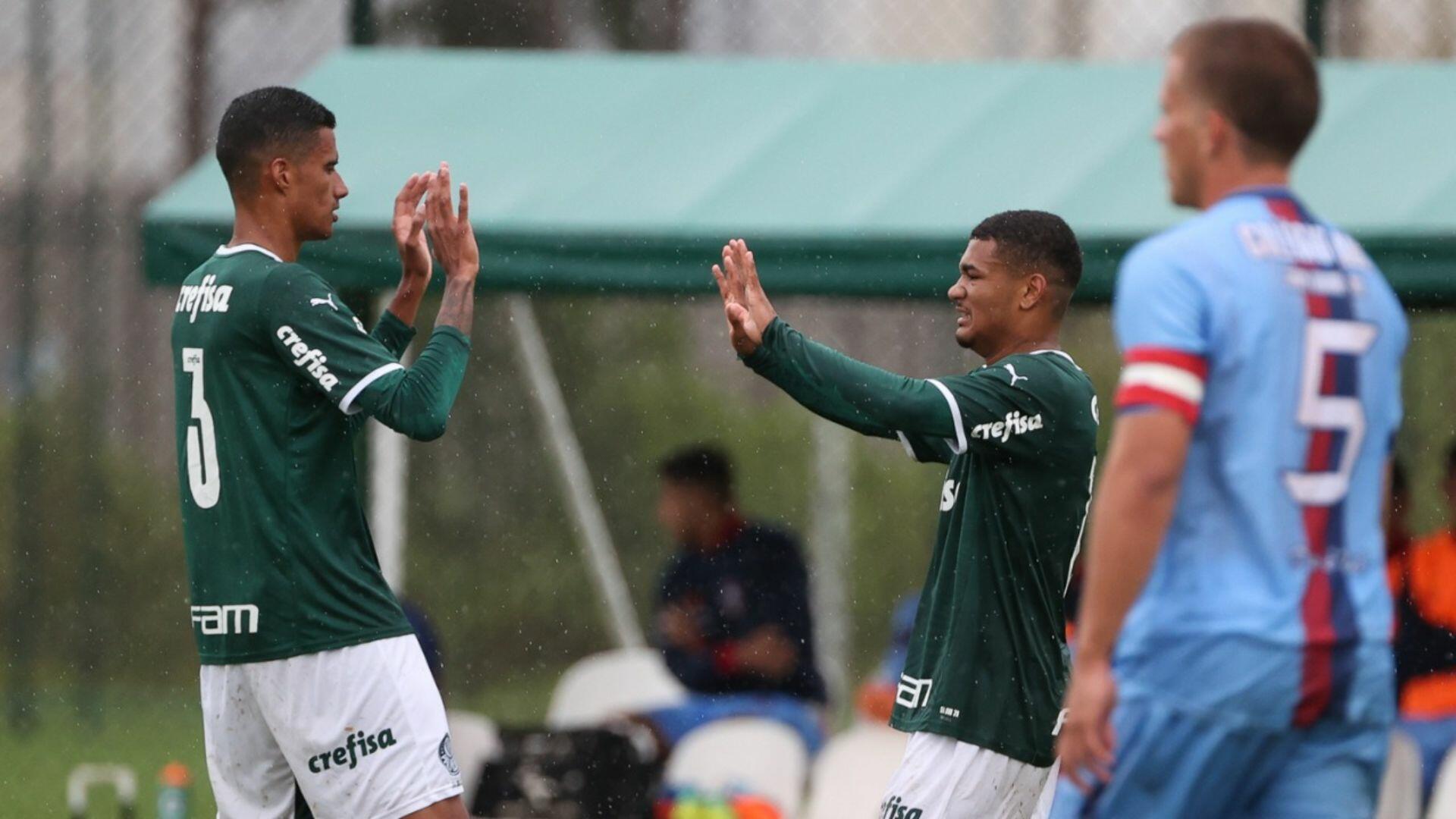 palmeiras