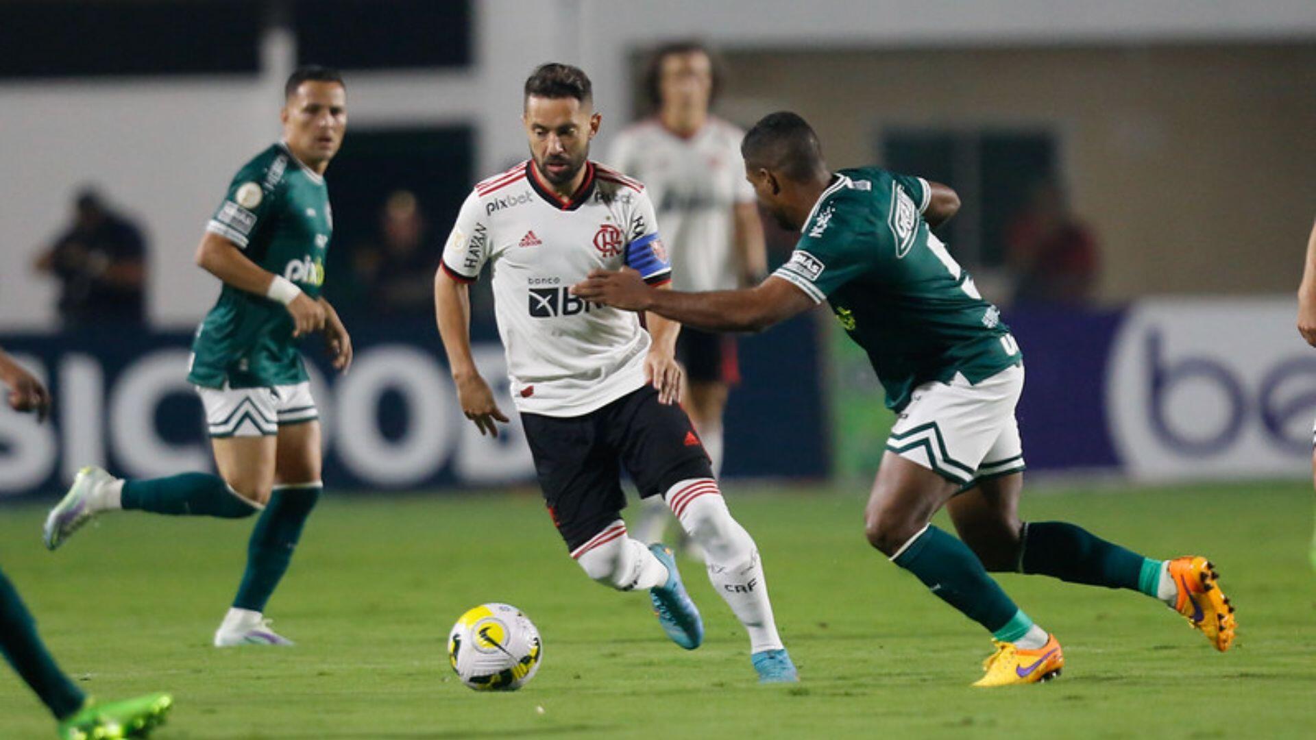 flamengo goiás