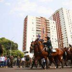 desfile