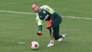 palmeiras