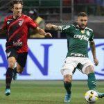 palmeiras