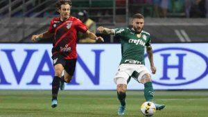 palmeiras