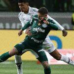 palmeiras santos