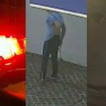 fezes humanas