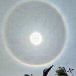 halo solar