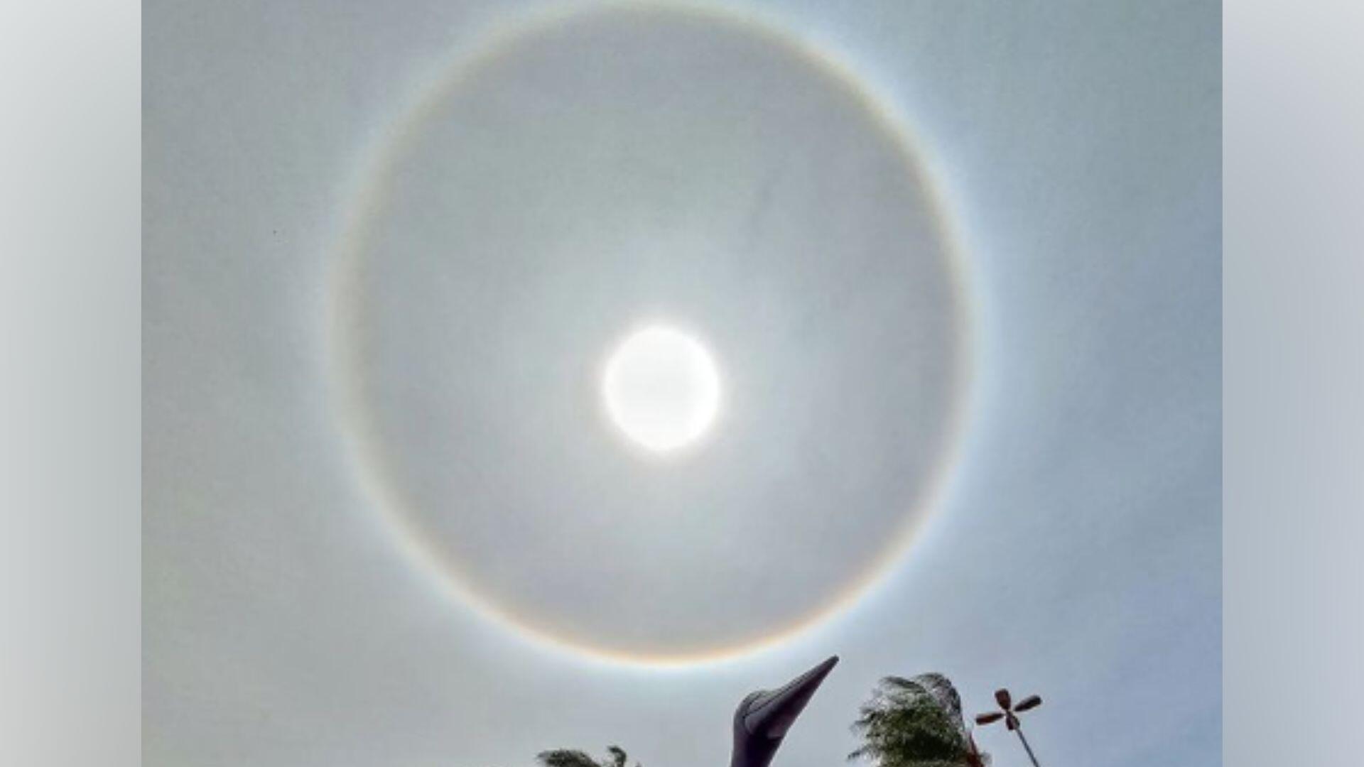 halo solar