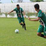 estadual serie b novo fc