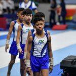 brasileiro de ginástica artística