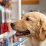 petshop
