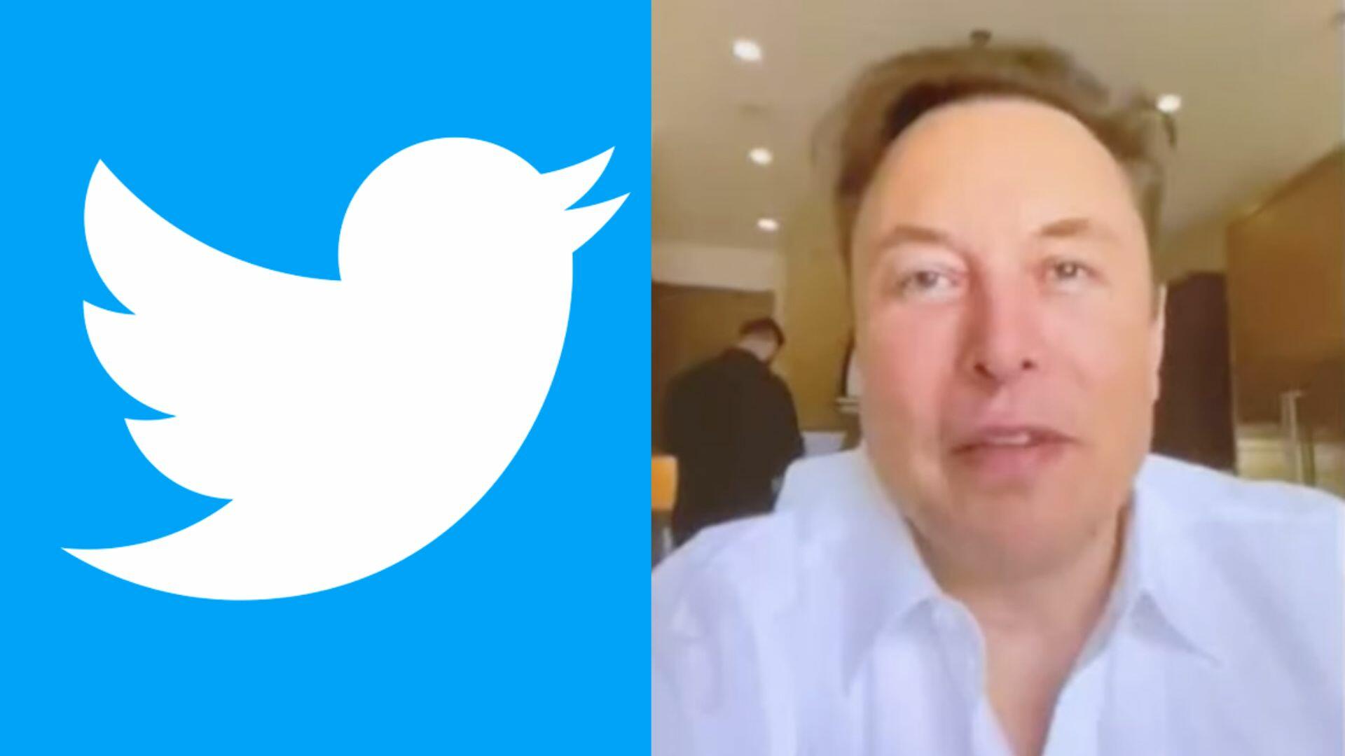 twitter elon musk