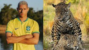 richarlison onça