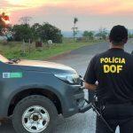 Dof criança