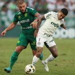 palmeiras