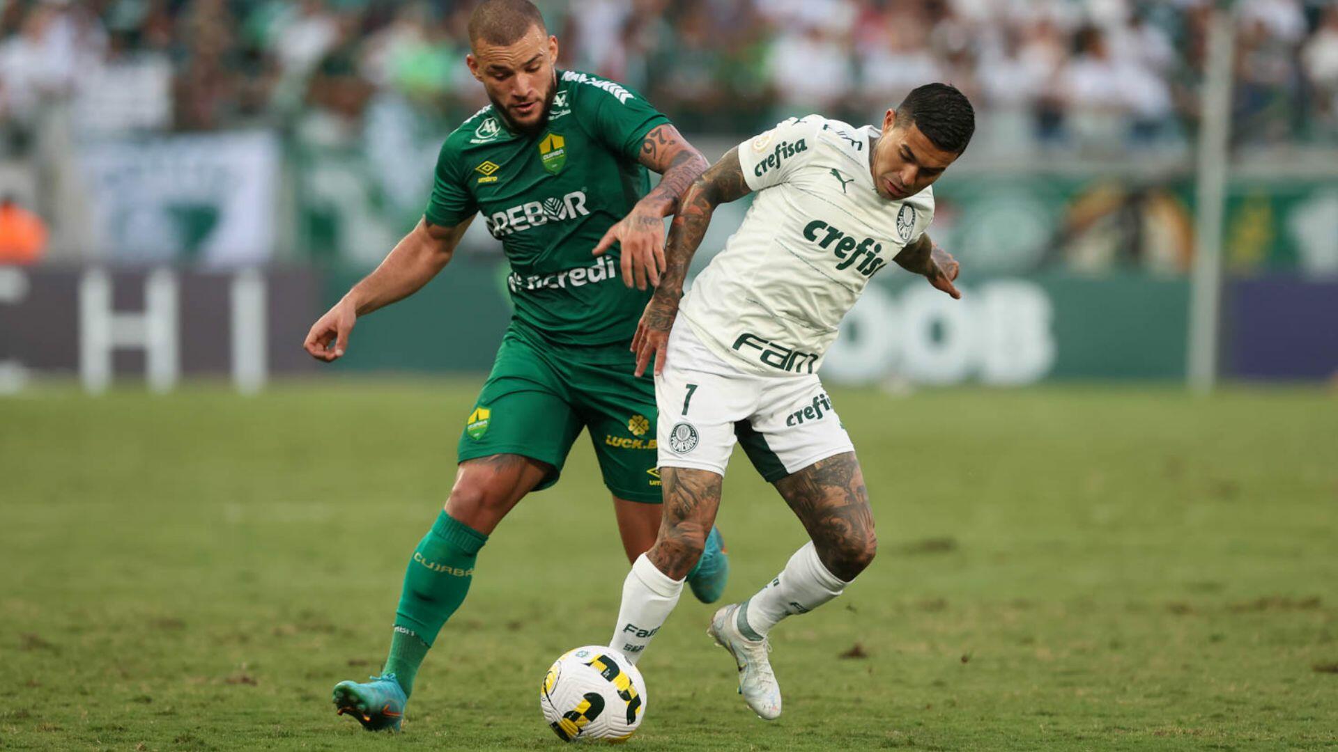 palmeiras