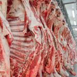 Abate de bovinos tem alta de 11,2% no terceiro trimestre de 2022