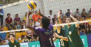 voleibol