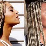 Beyoncé do Pantanal