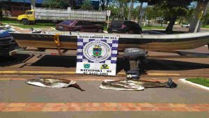 Apreensão de pescado PMA