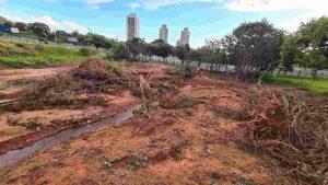 Bacia do Parque Sóter está assoreada