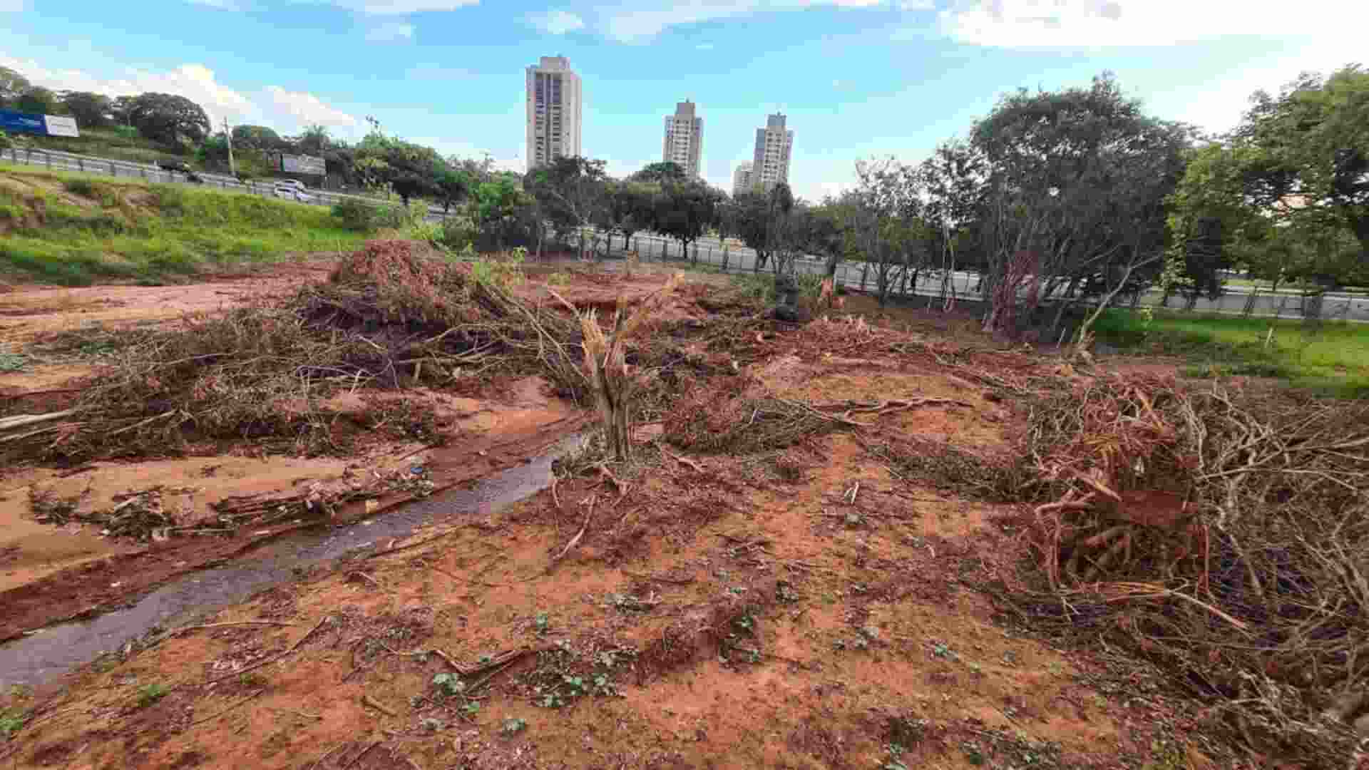 Bacia do Parque Sóter está assoreada