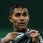 Palmeiras