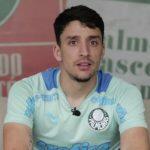 palmeiras