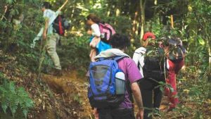Trekking
