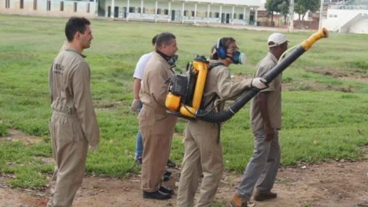 agentes de combate às endemias
