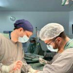 transplante