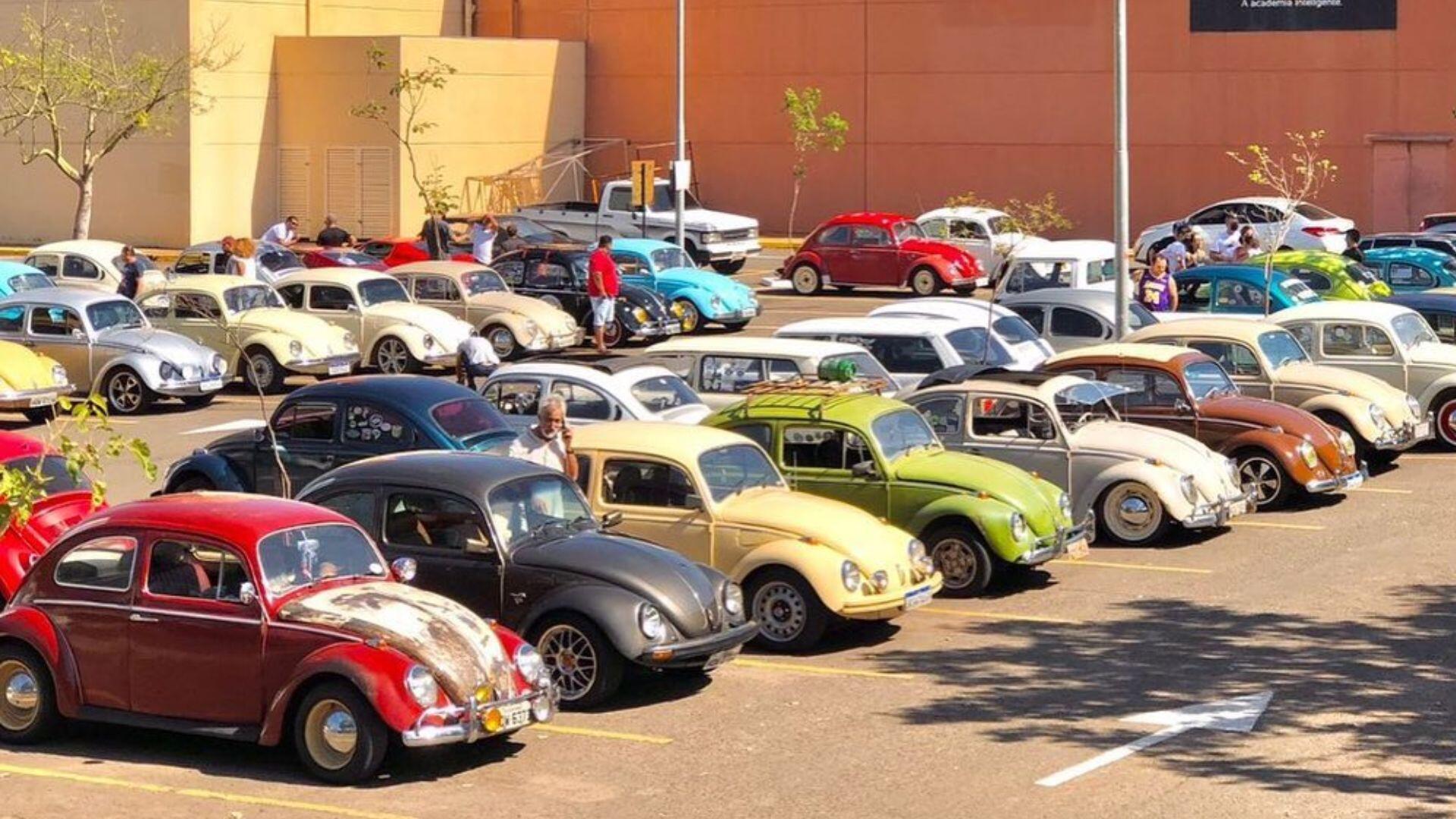 fusca