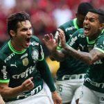 palmeiras (6)