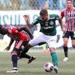 palmeiras são paulo