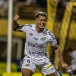 santos futebol