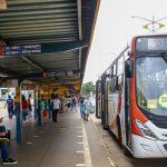 ônibus