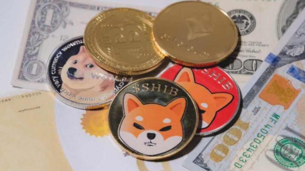 A Shiba Inu Coin tem sido discutida como uma memecoin alternativa à ...
