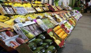 ceasa alimentos