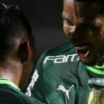 palmeiras