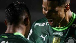 palmeiras