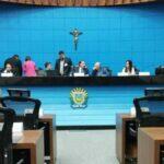 alems mpms (1)