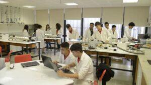 novo ensino médio