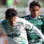 palmeiras