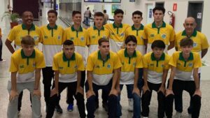 vôlei