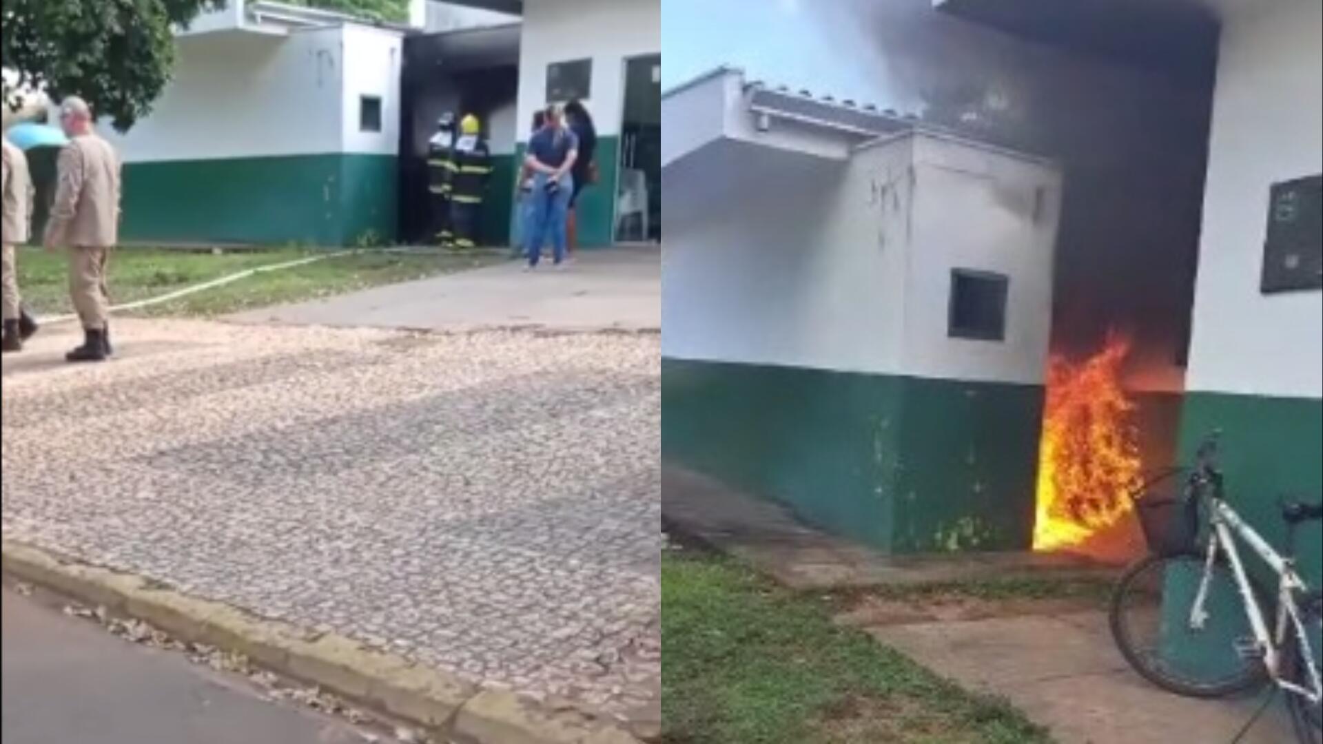bonito