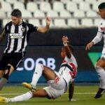 botafogo são paulo divulgação (1)